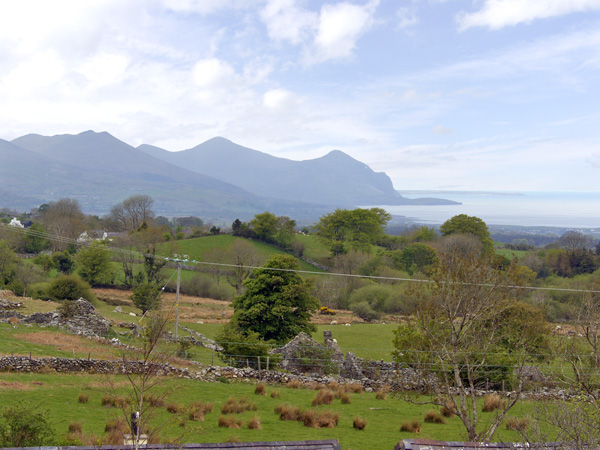 Damavand Dylluan,Caernarfon