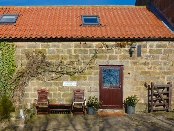 Daffodil Cottage,Staithes