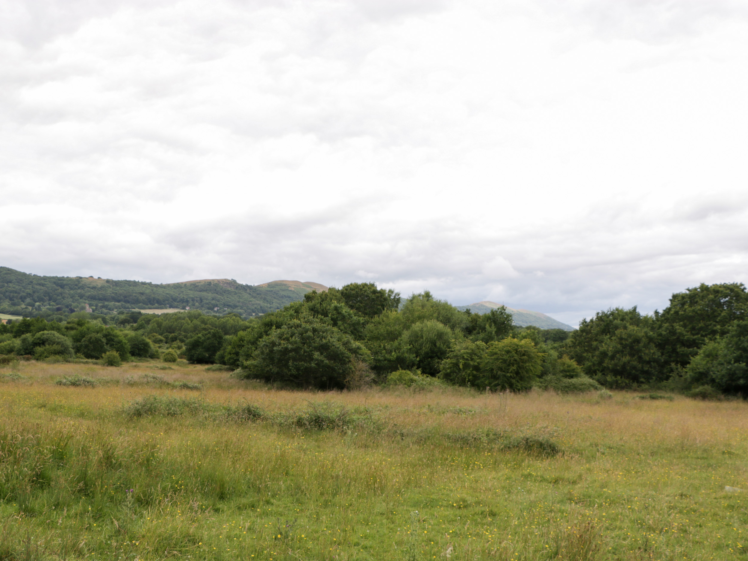 Property image 24 for SC18916