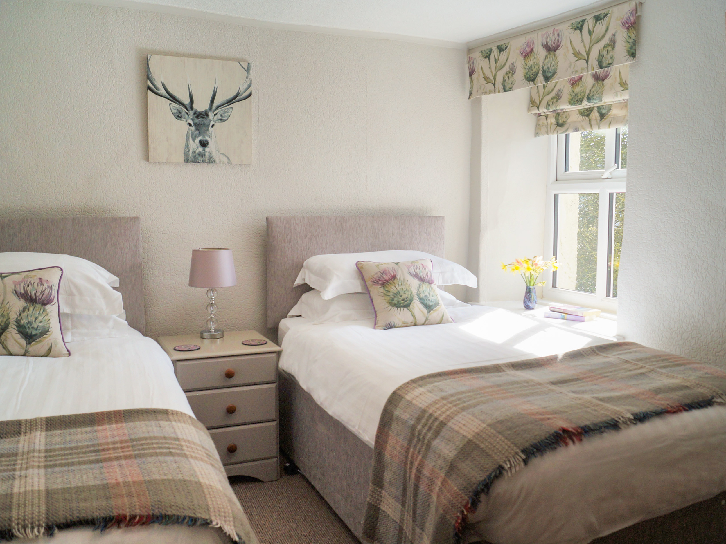 Ivy Cottage, Priest Hutton Dog Friendly Holiday Cottage in The Lake