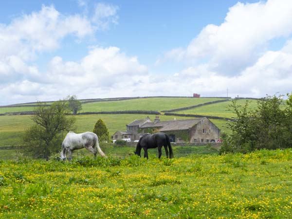 True Well Hall Barn Ctg, Yorkshire