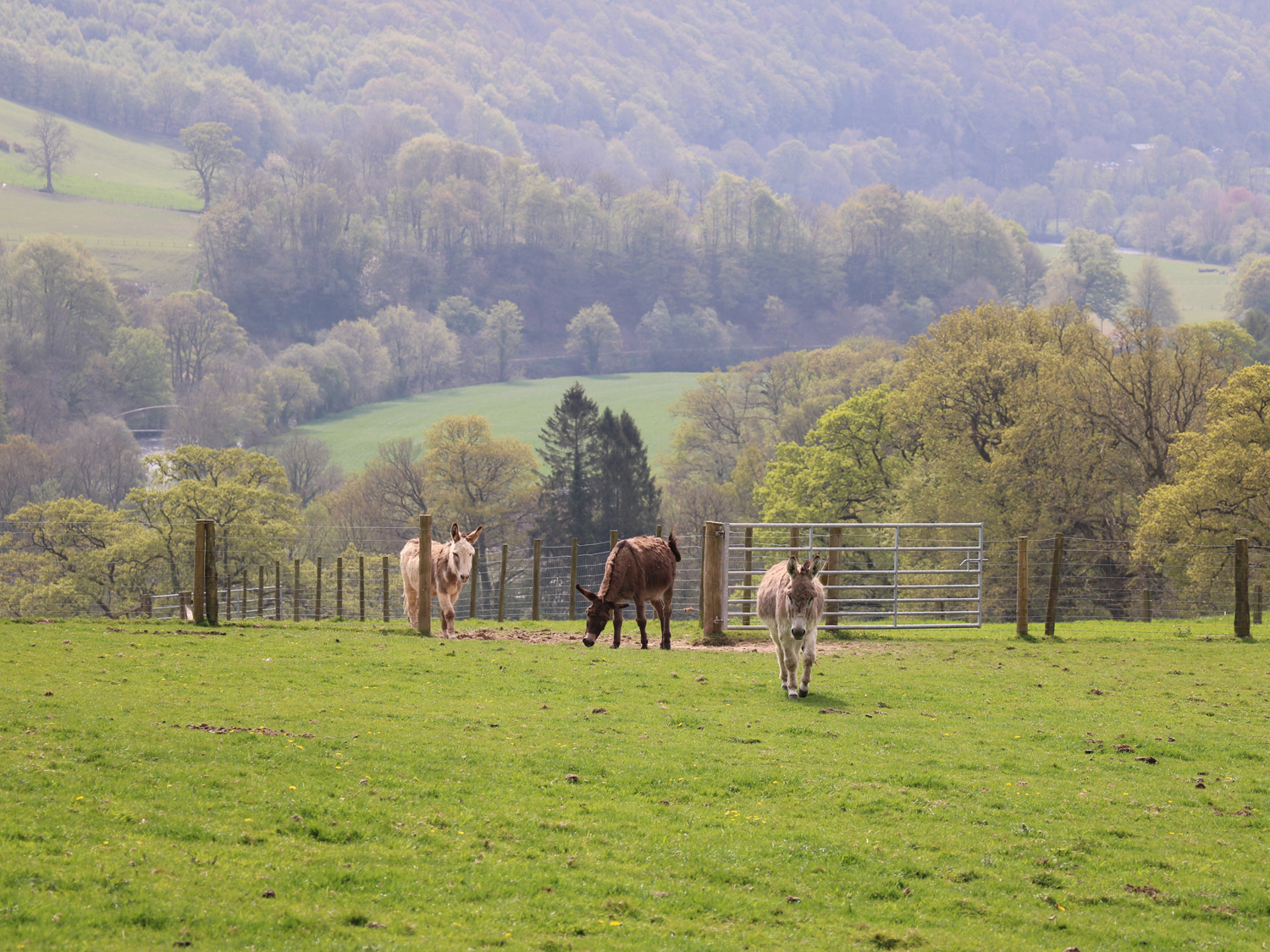 The Stables, Wales