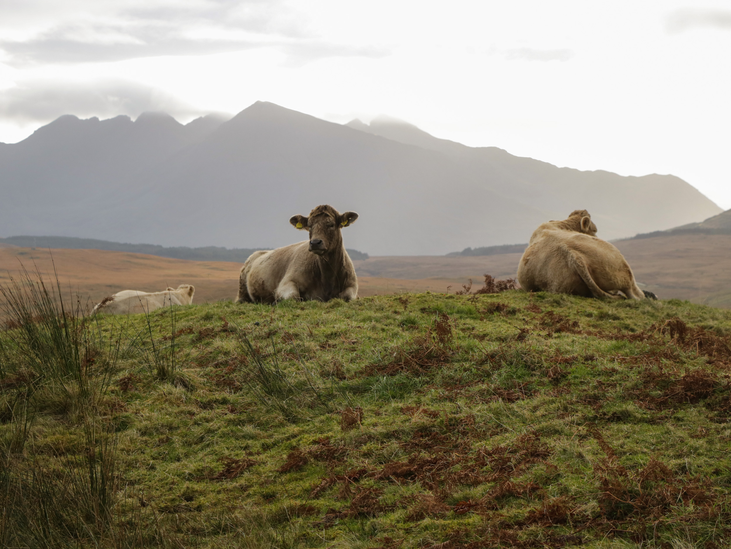 The Barn, Isle of Skye, Highlands
