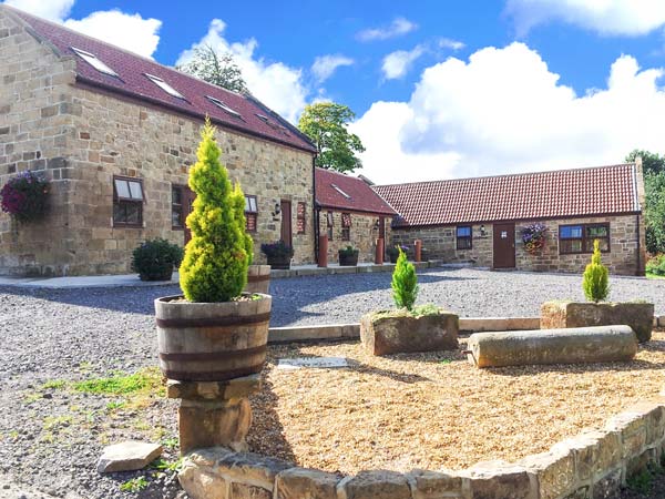 Cow Byre, The,Saltburn-by-the-Sea