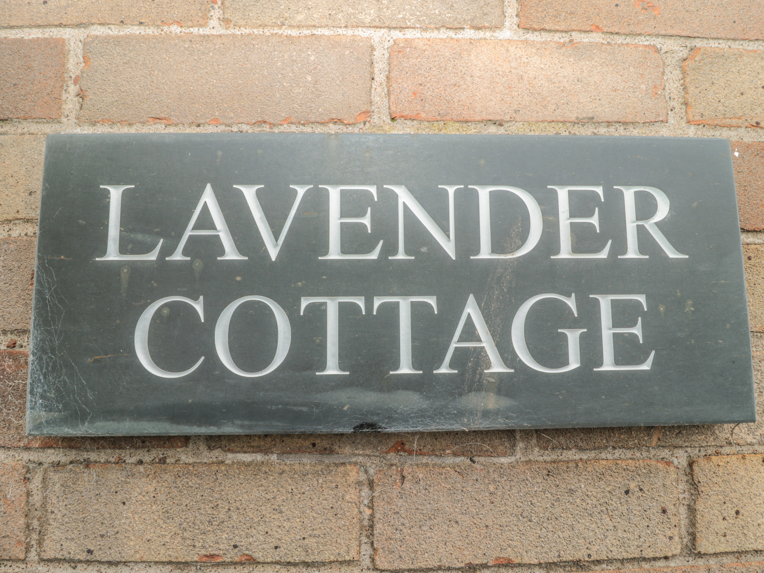 Lavender Cottage, Beadnell Dog Friendly Holiday Cottage in Northumbria Lavender Cottage, Beadnell Dog Friendly Holiday Cottage in Northumbria