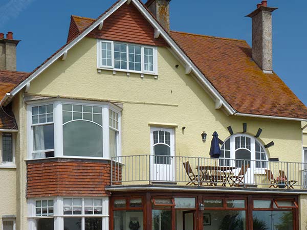 Kittiwake,Minehead