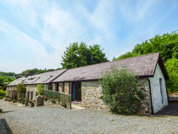 Buzzard Cottage,Llandysul