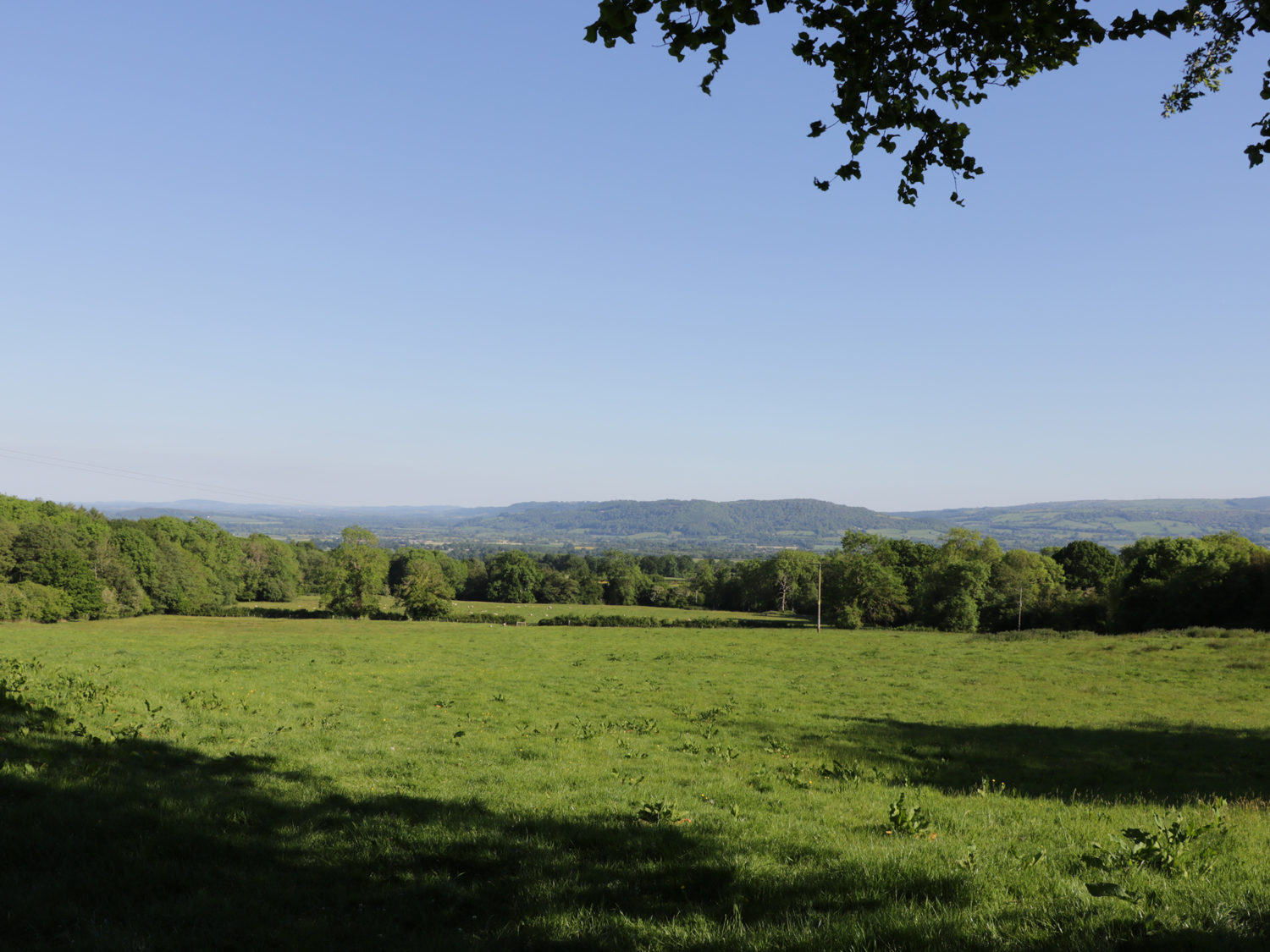 Orchard View, Herefordshire