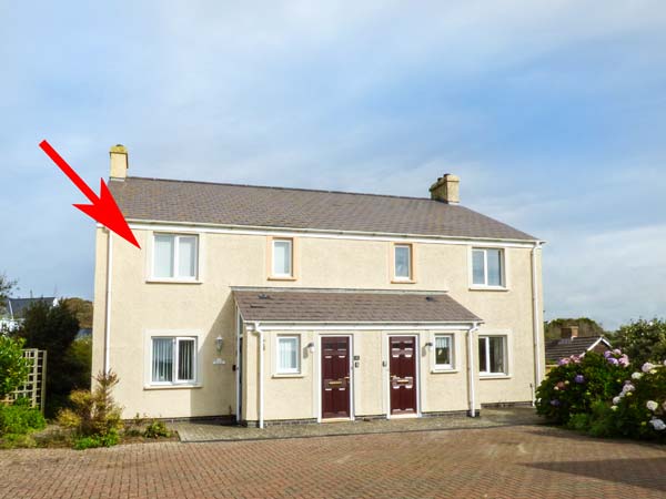 Kittiwake,Haverfordwest