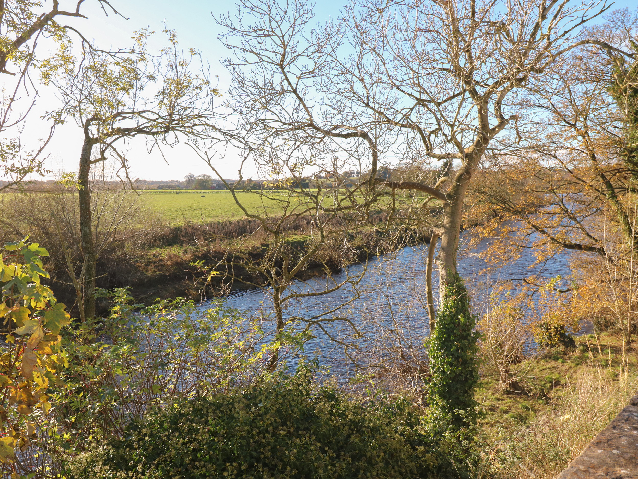 Property image 17 for SC971751