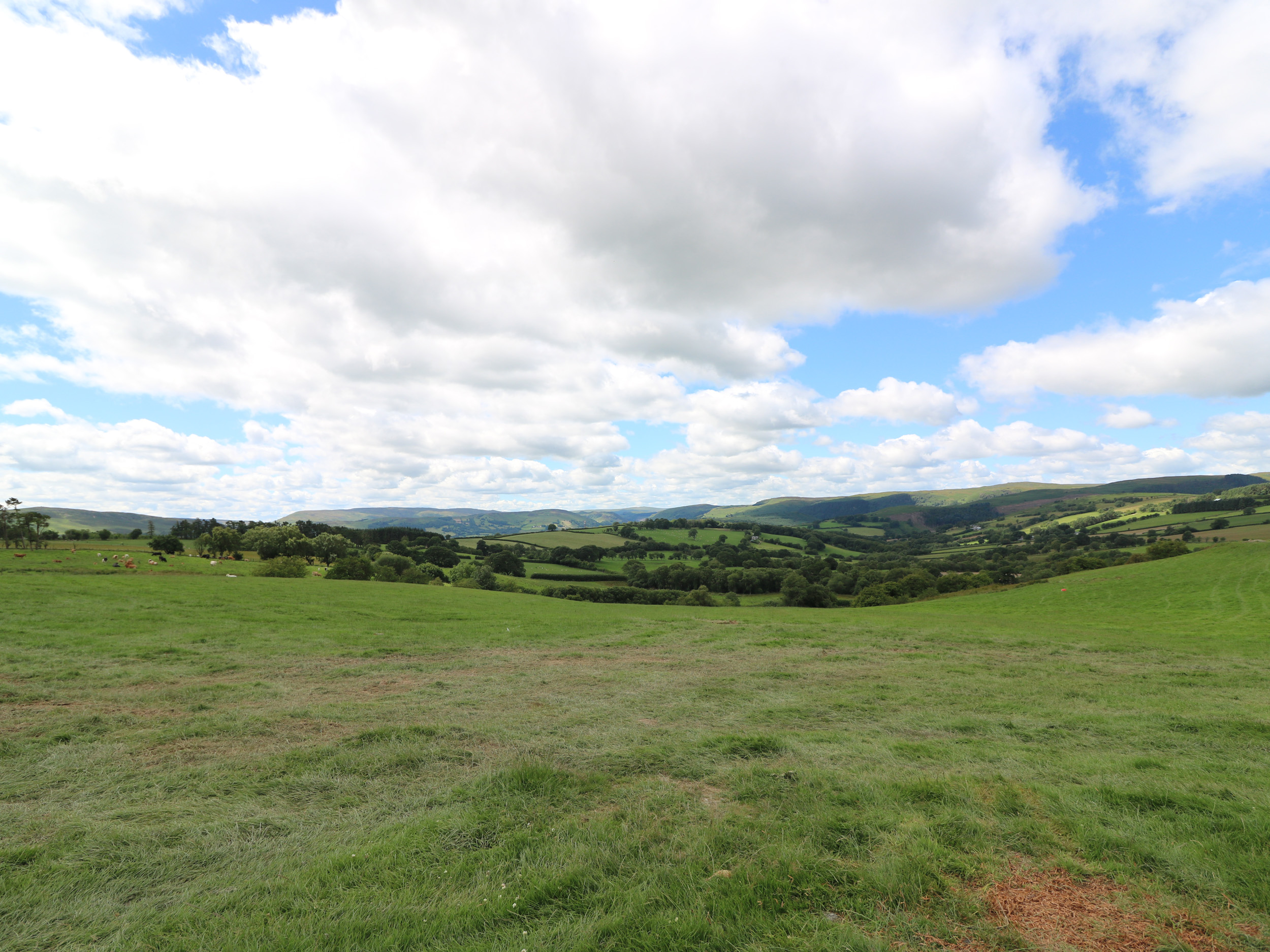 Sheperd's View, Powys