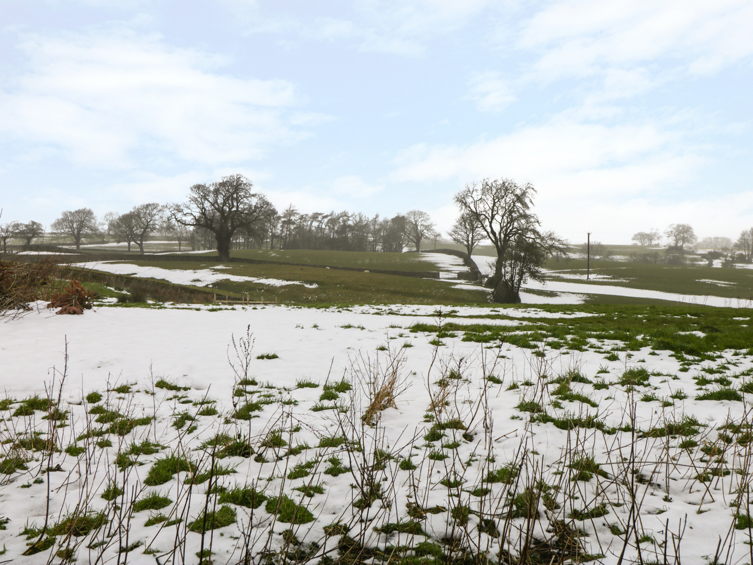 Property image 12 for SC976821