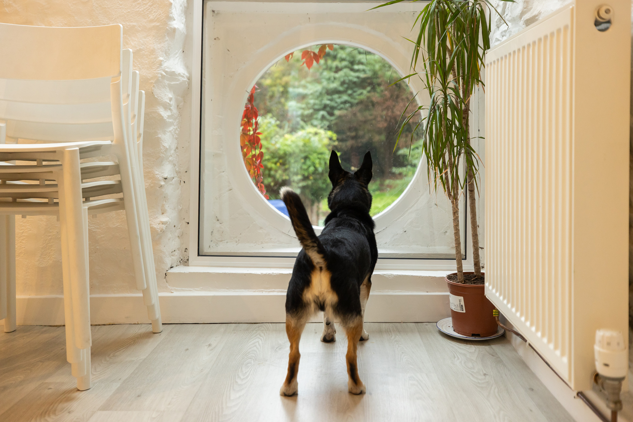 Property image 15 for SC986410